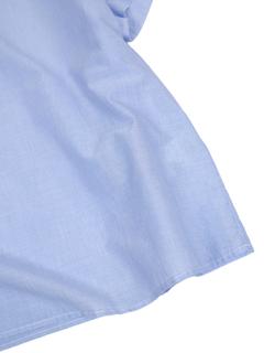 PESERICO(ペセリコ) |ヘアラインストライプラグランスリーブブラウス